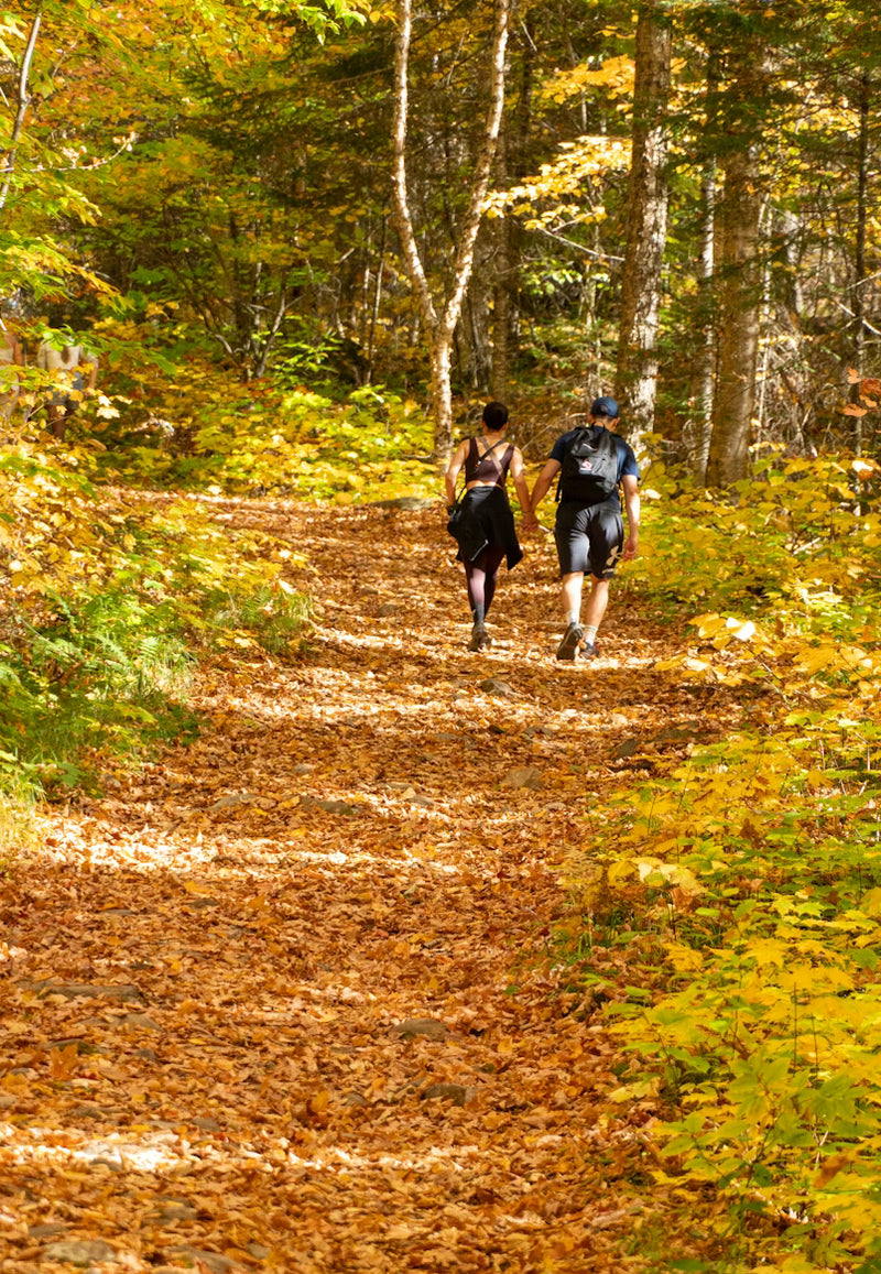 Why Québec City Singles Love Our Events