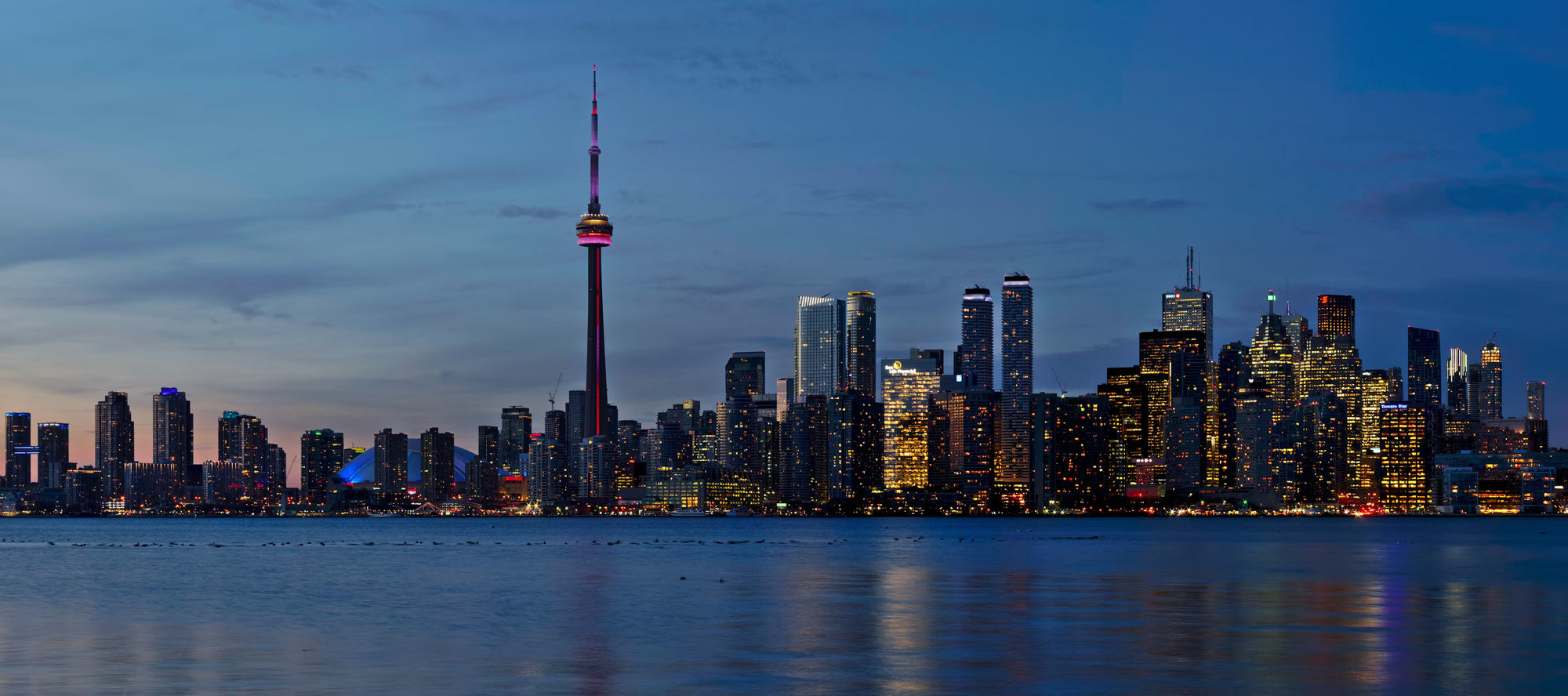 Meet Someone New in the Heart of Toronto